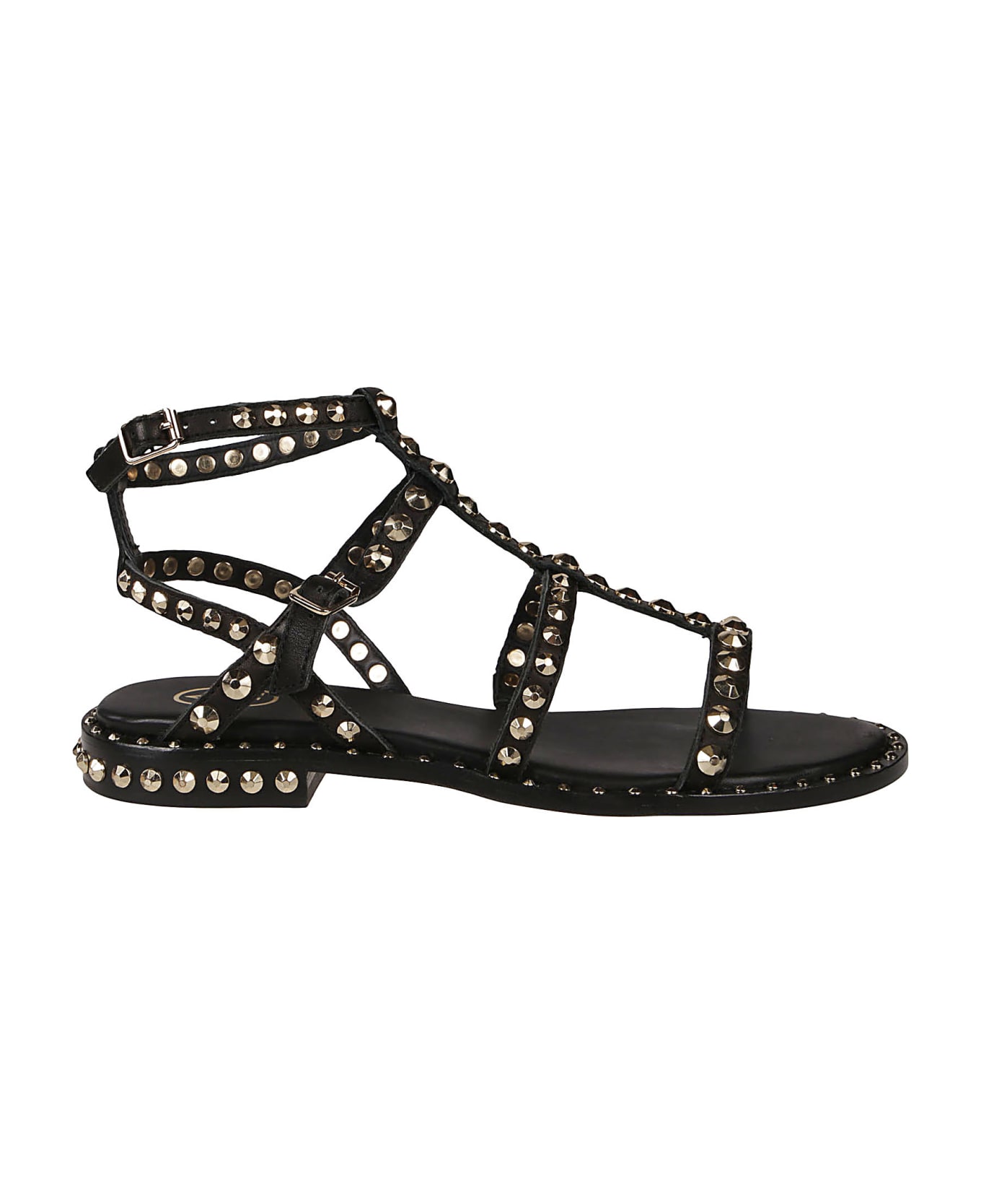Ash Flat Sandals Precious01 - Black/ariel