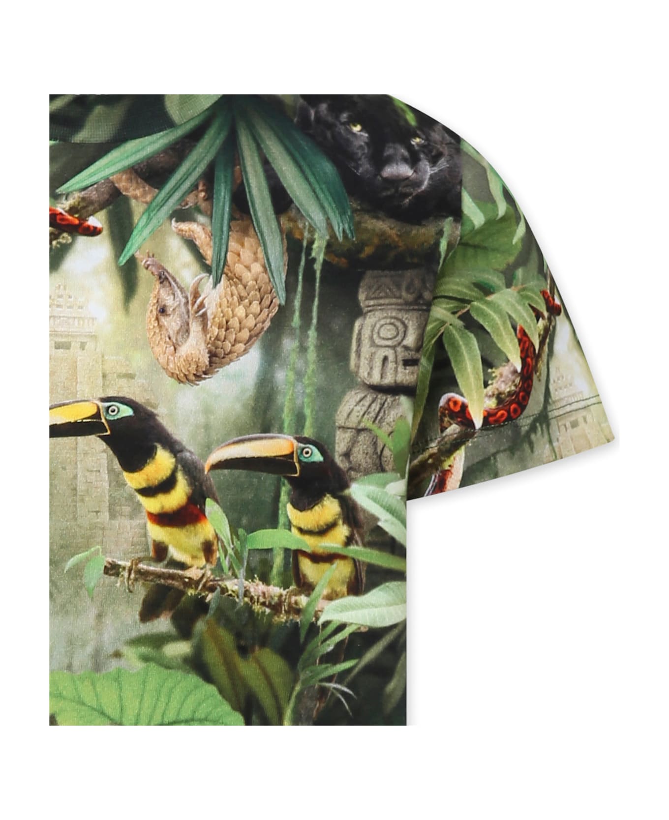 Molo Green T-shirt For Boy With Jungle Animal Print - Green