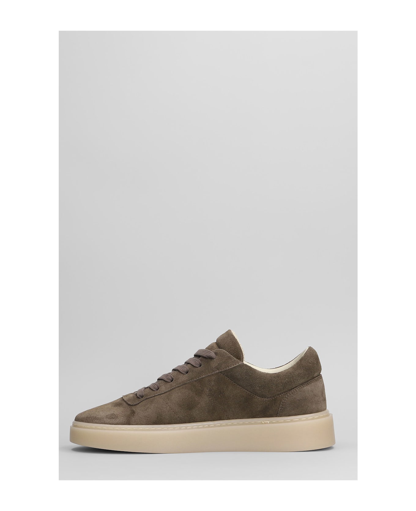 Low Brand Fly Sneakers In Taupe Suede - taupe