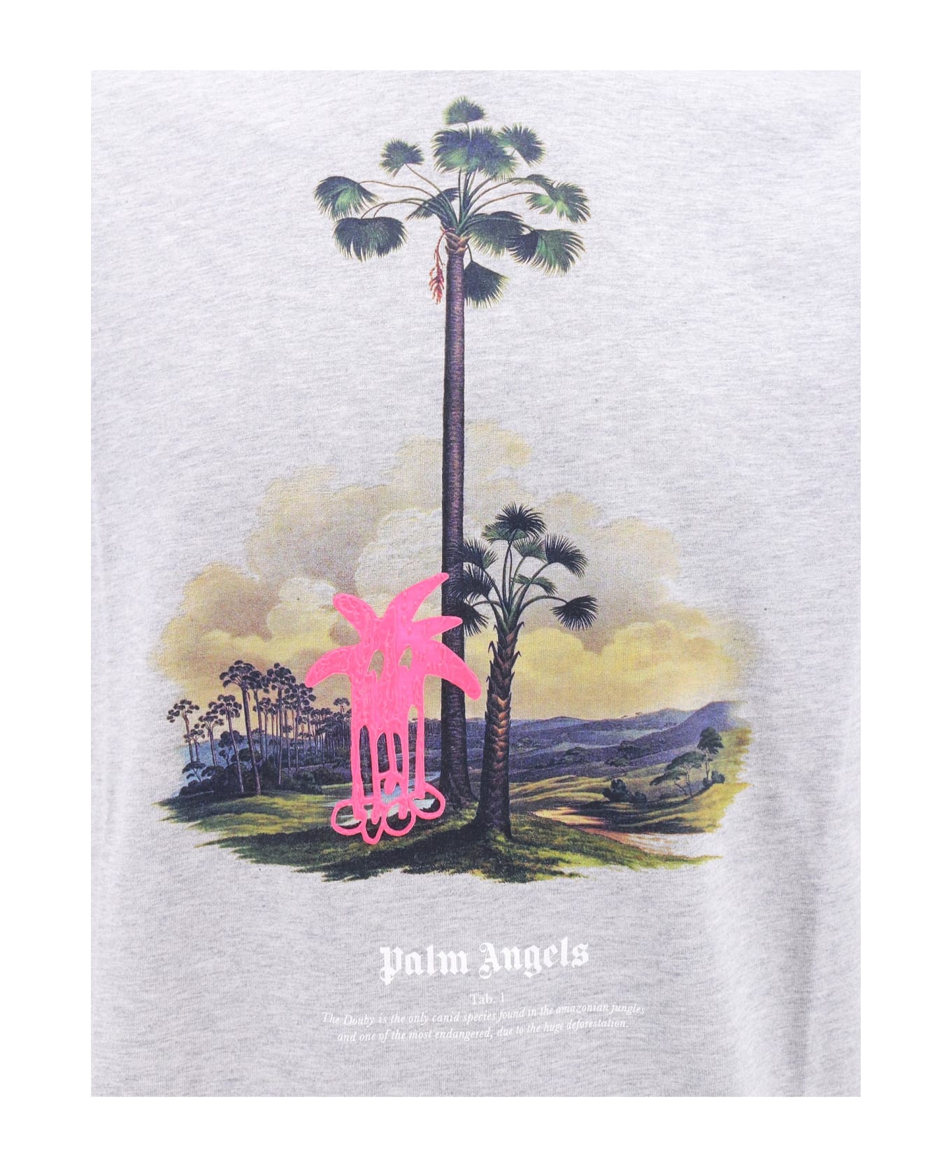 Palm Angels Douby Lost In Amazonia T-shirt - Grey シャツ