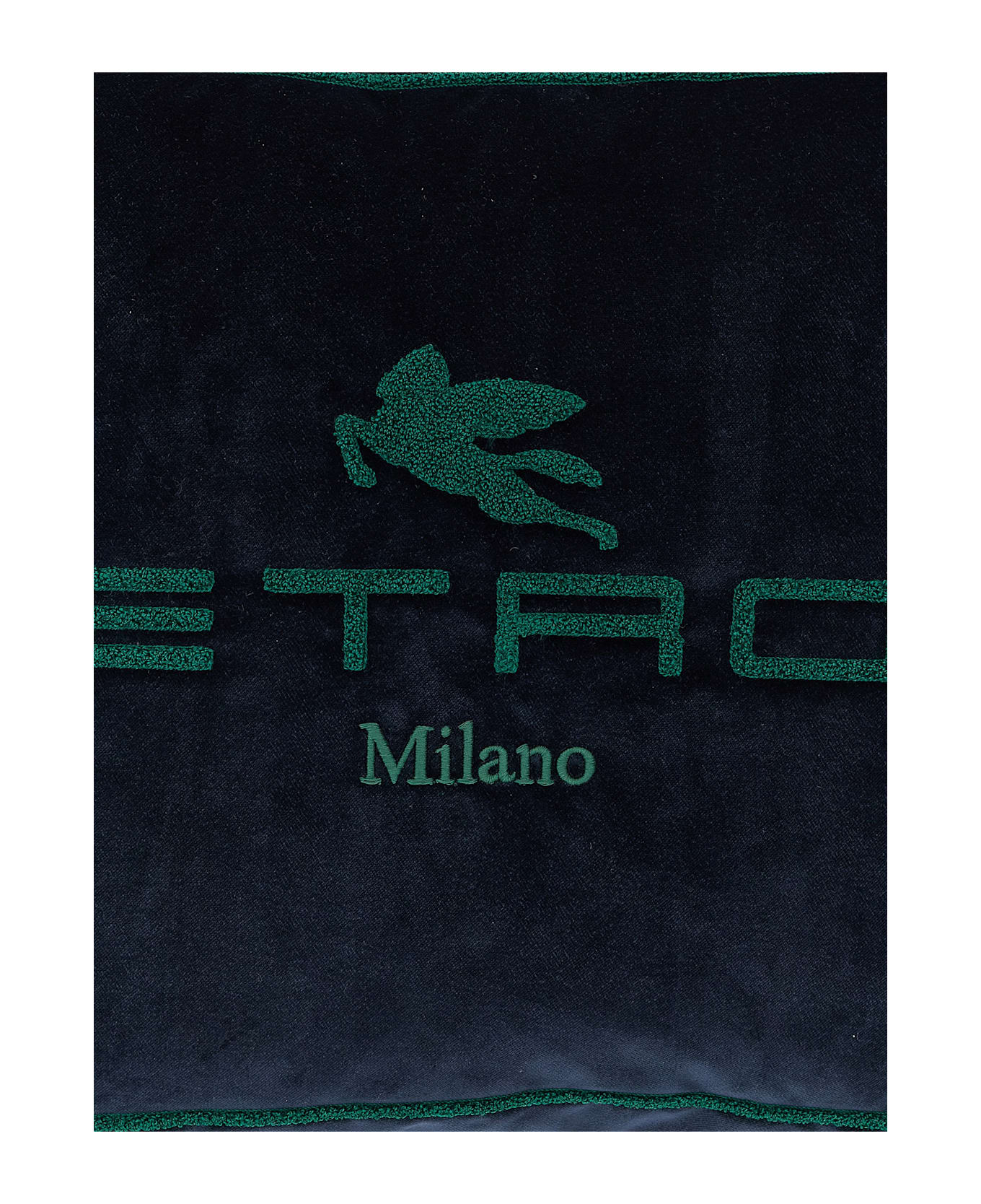 Etro Spunga Logo Cushion - Multicolor