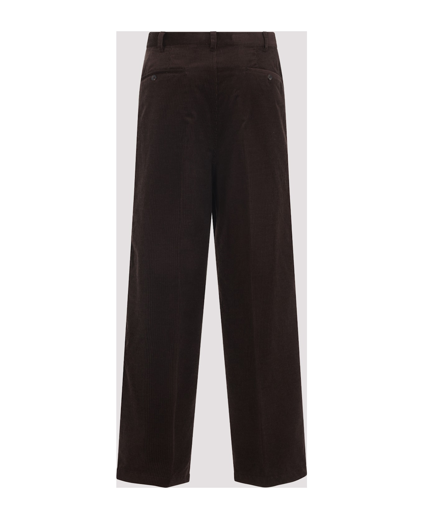 Prada Cotton Pants - Ebano