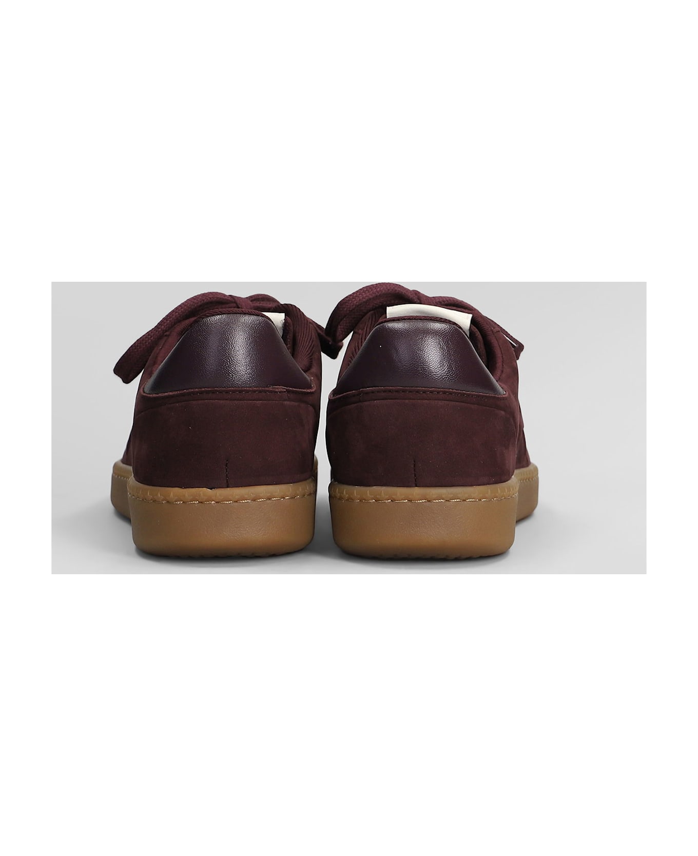 Ash Siena Sneakers In Bordeaux Nubuck - bordeaux