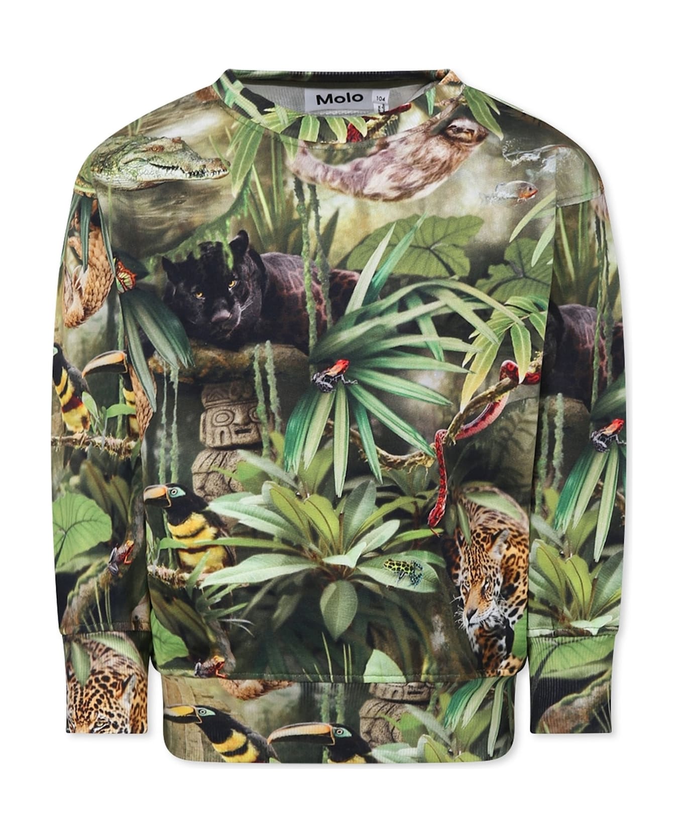 Molo Green Sweatshirt For Boy With Jungle Animal - Green
