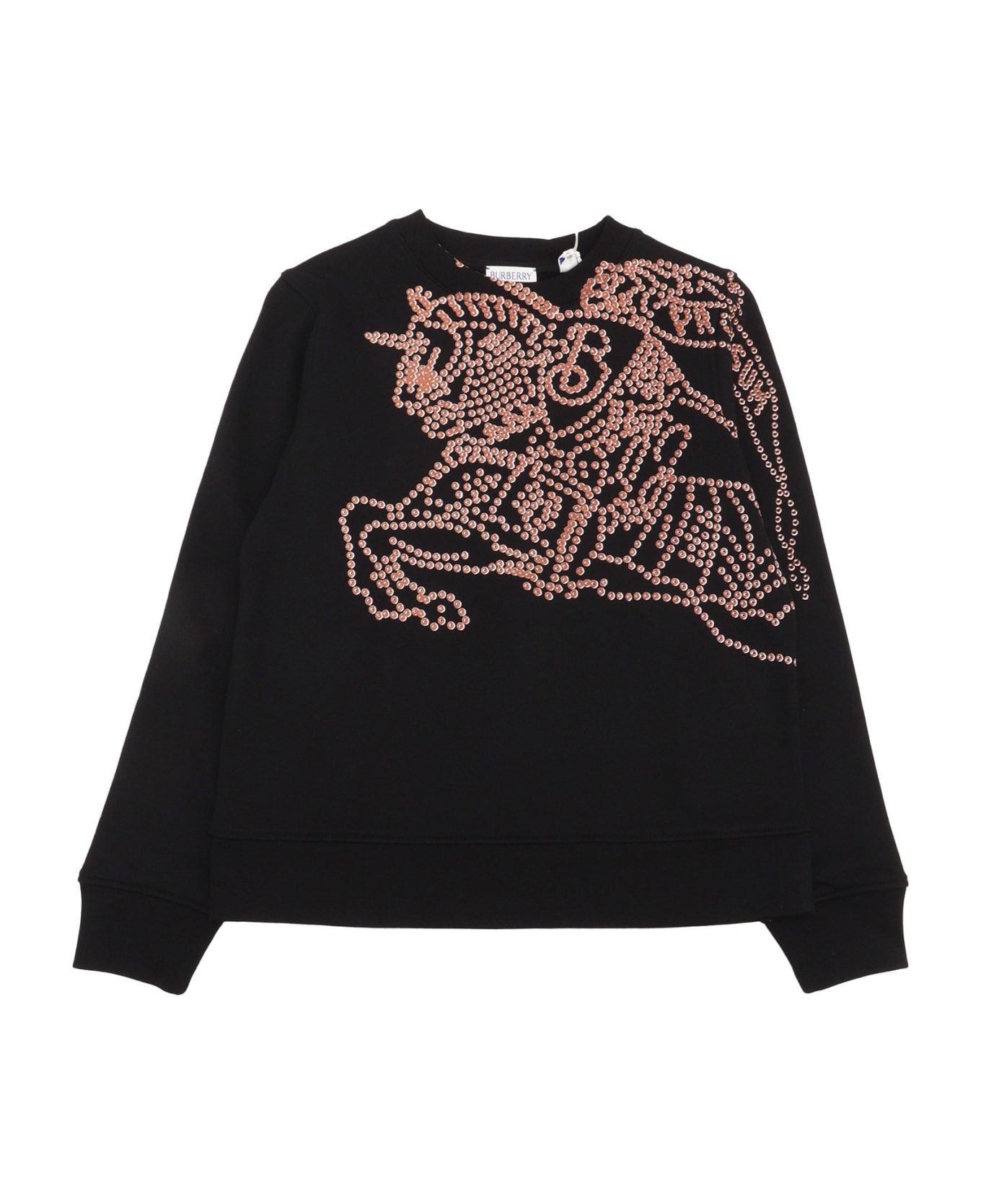 Burberry Kid Boy Sweaters - BLACK