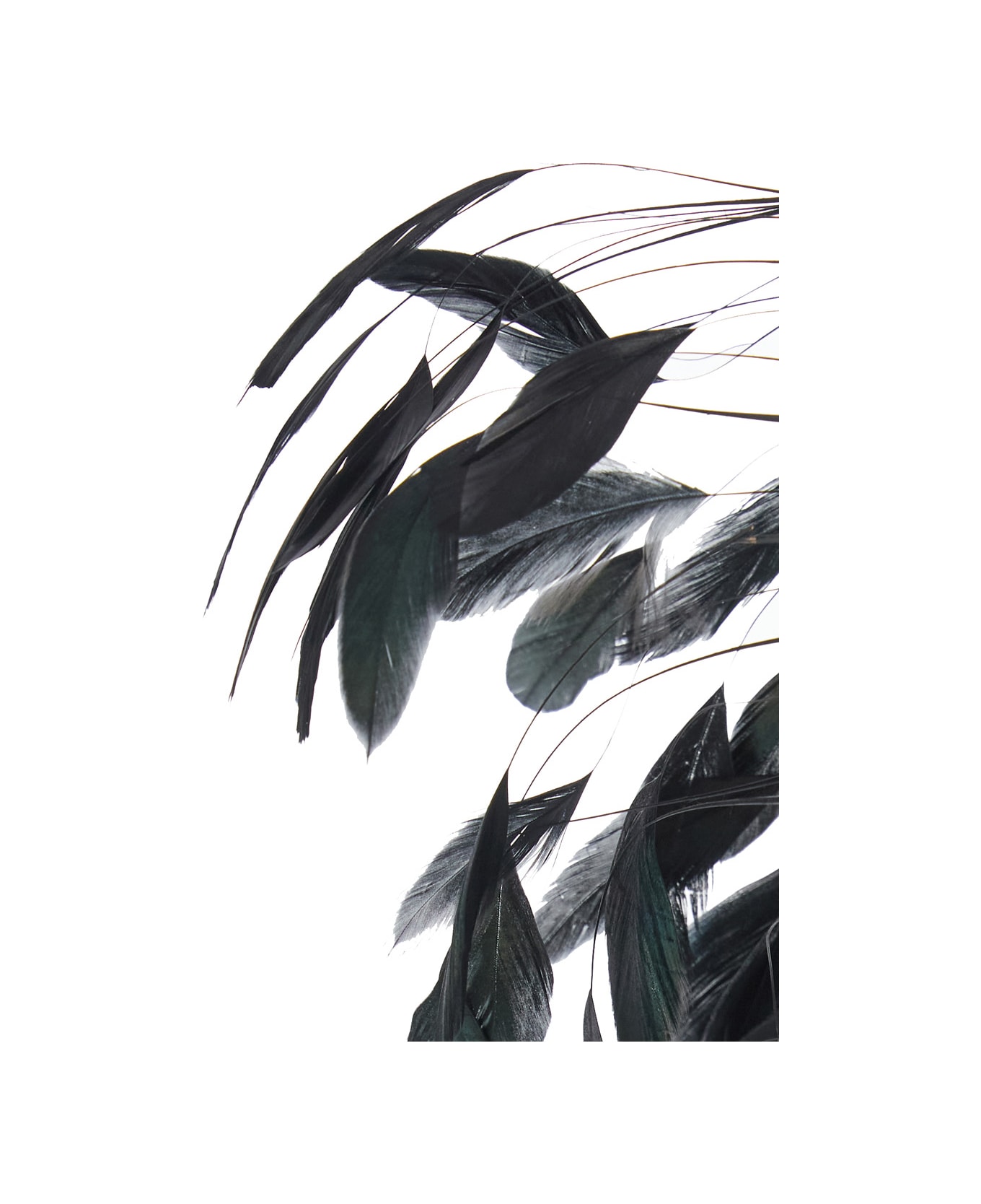 Merci Black Dress With Round Neckline And Feather Decorations In Fabric Woman - Black