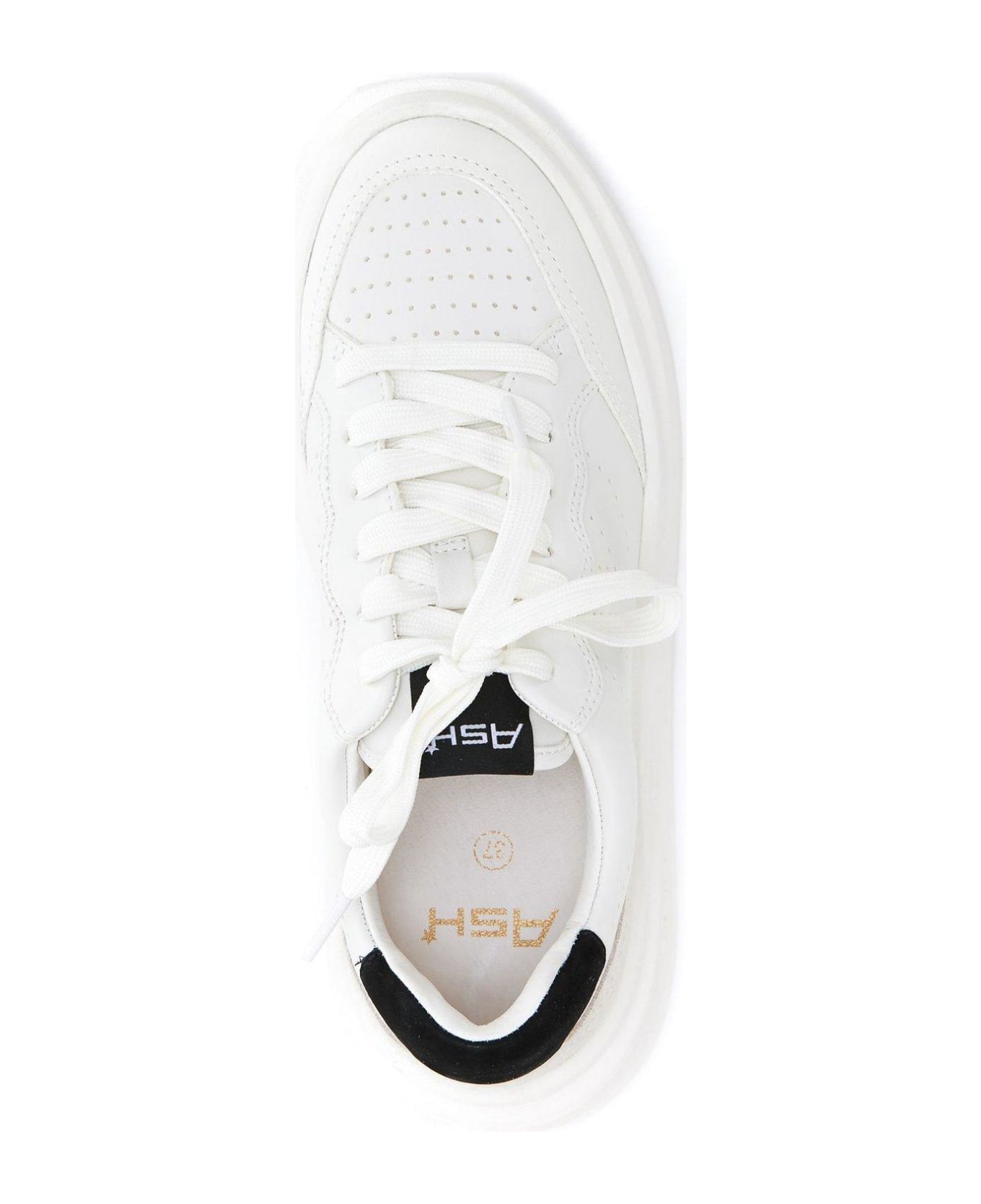 Ash Impuls Low-top Platform Sneakers - White talco black