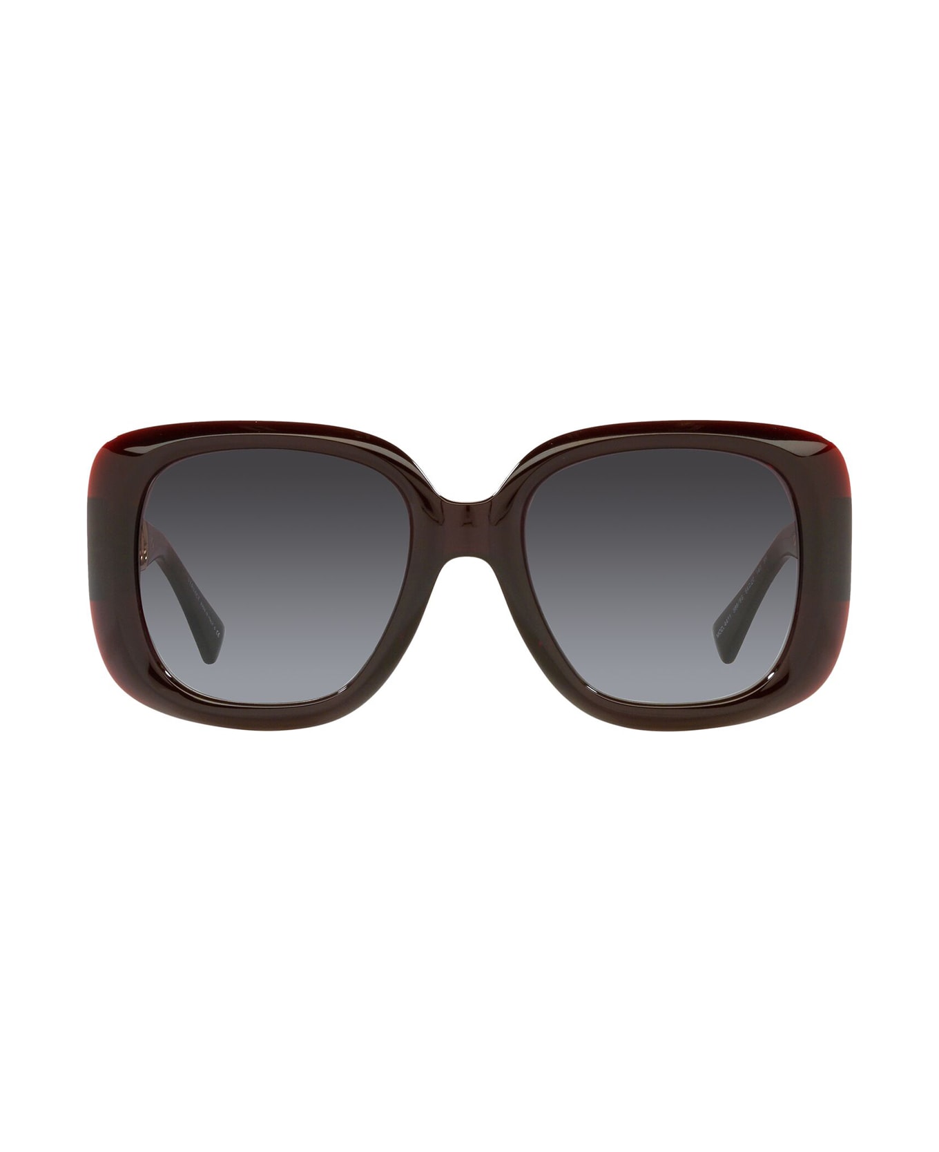 Versace Eyewear Ve4411 Transparent Red Sunglasses - Transparent Red