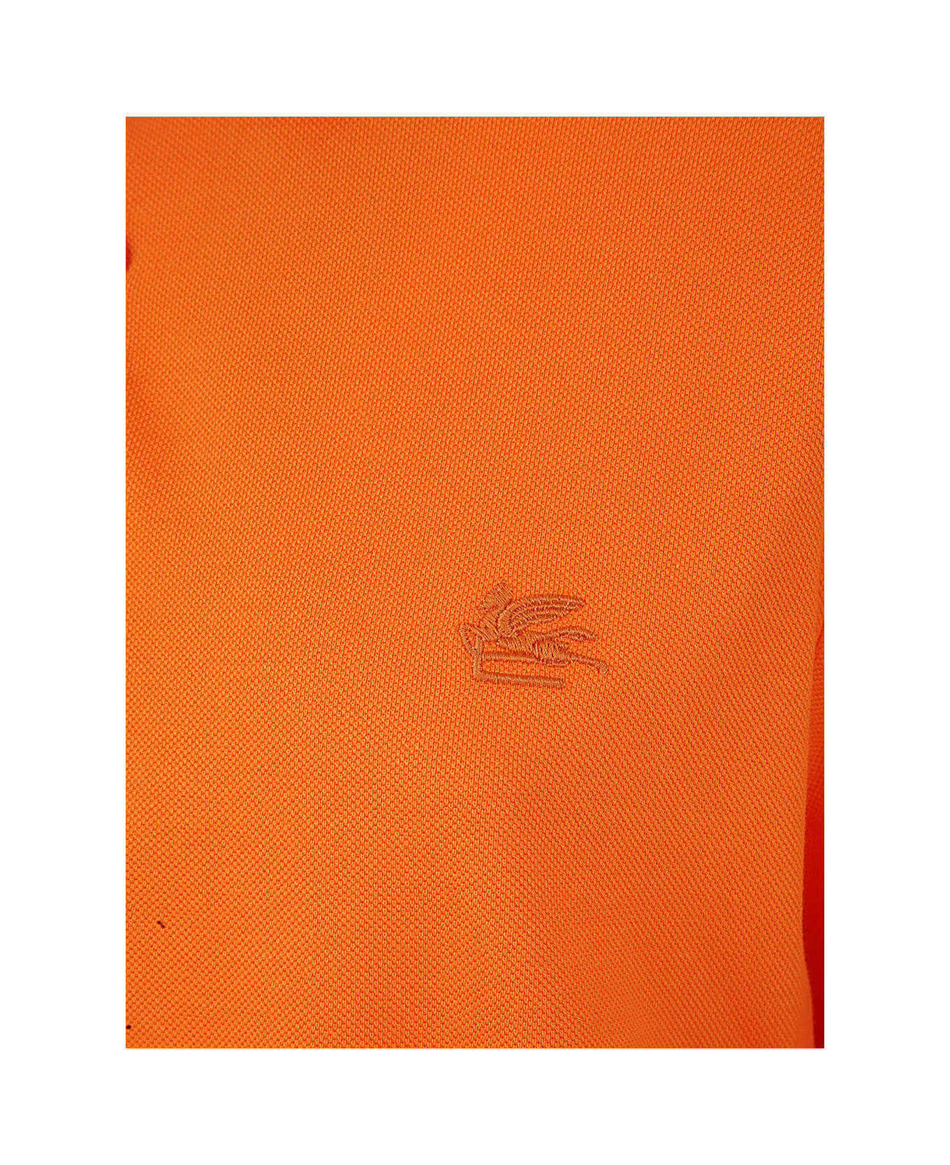 Etro Roma Printed Details Polo - Orange ポロシャツ