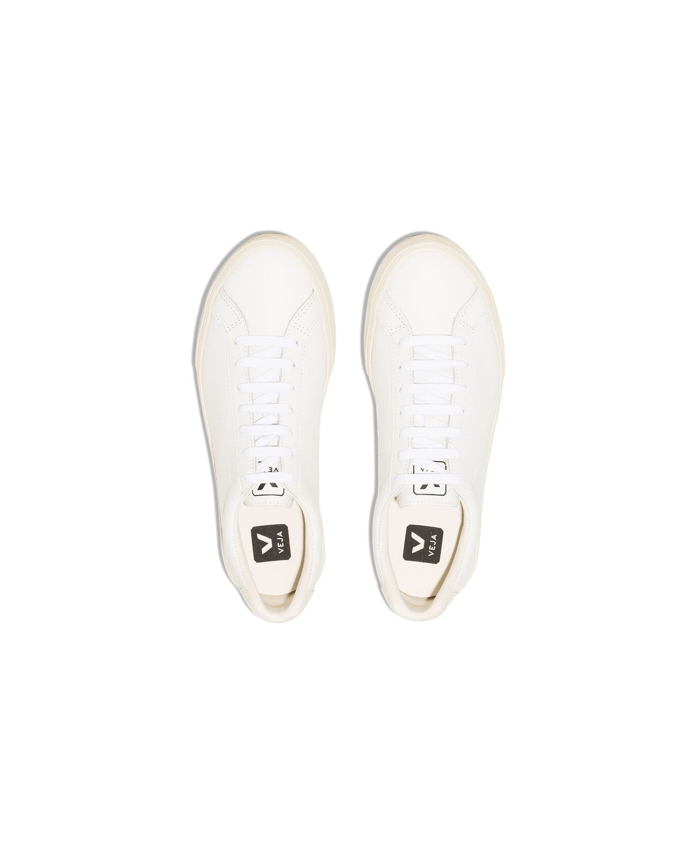 Veja Sneaker - WHITE
