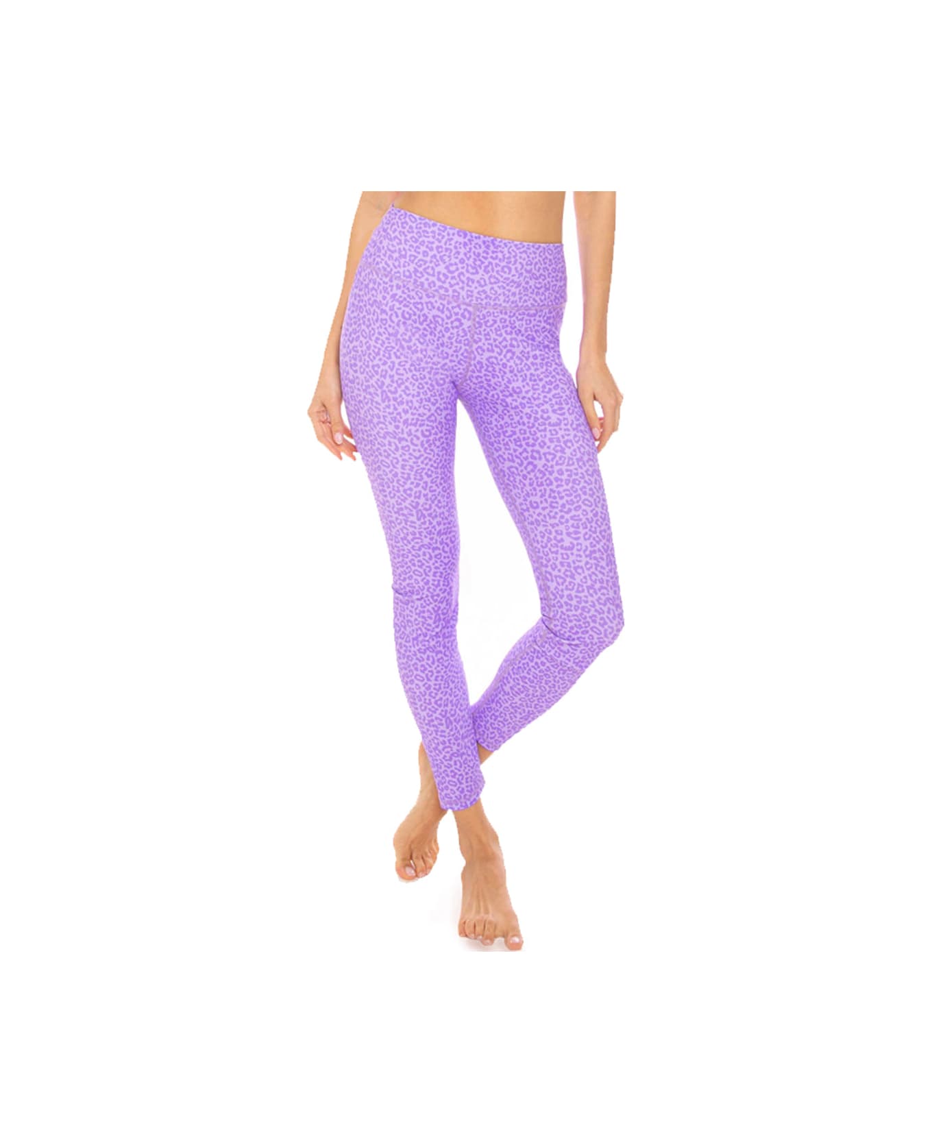 MC2 Saint Barth Animalier Purple Pastel Printed Yoga Leggings - PURPLE