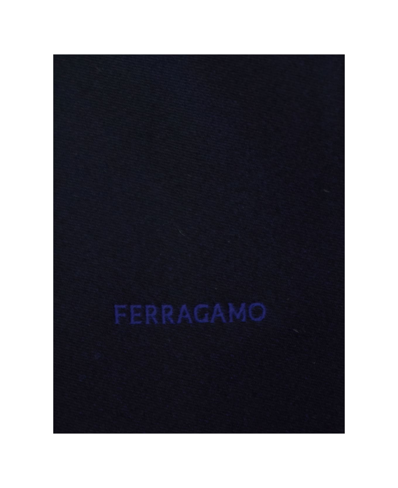 Ferragamo Blue Tie With Logo Embroidery In Silk Man - Blu ネクタイ