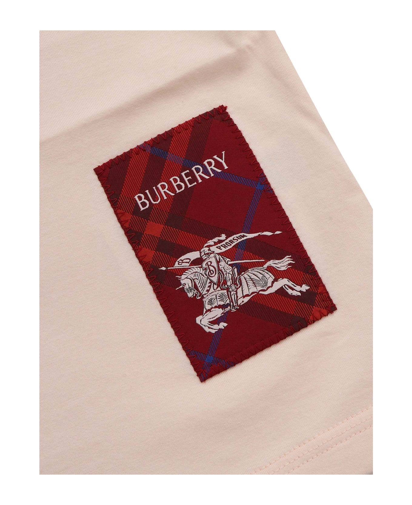 Burberry Kid Girl T-shirts - MULTICOLOR
