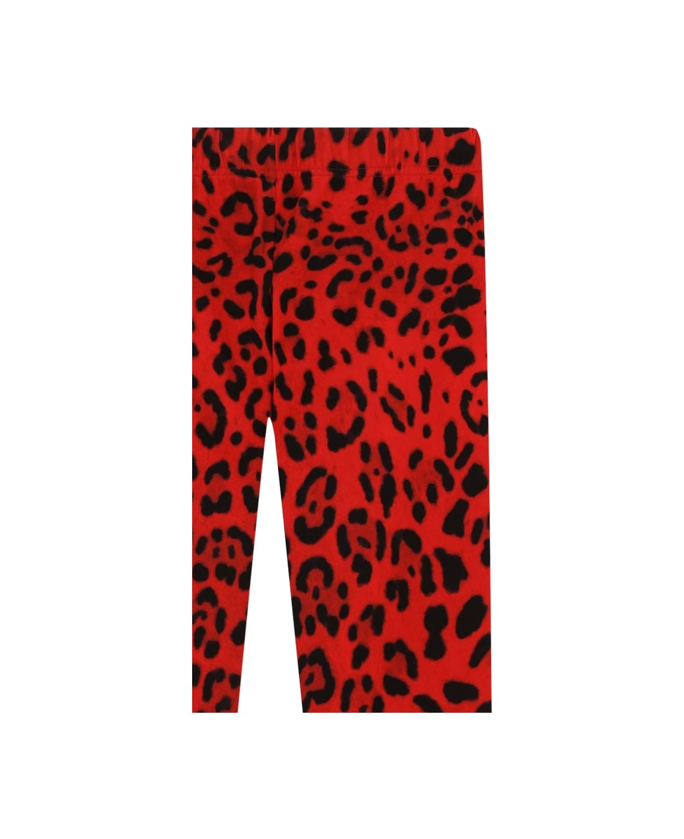 Dolce & Gabbana Leggings - ANIMALIER