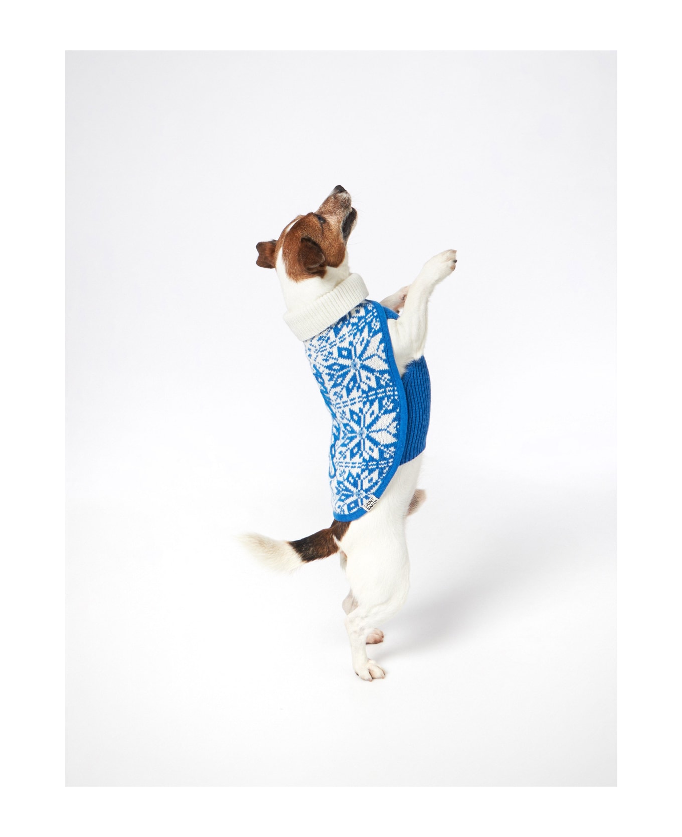 MC2 Saint Barth Dog Sweater With Nordic Jacquard - BLUE