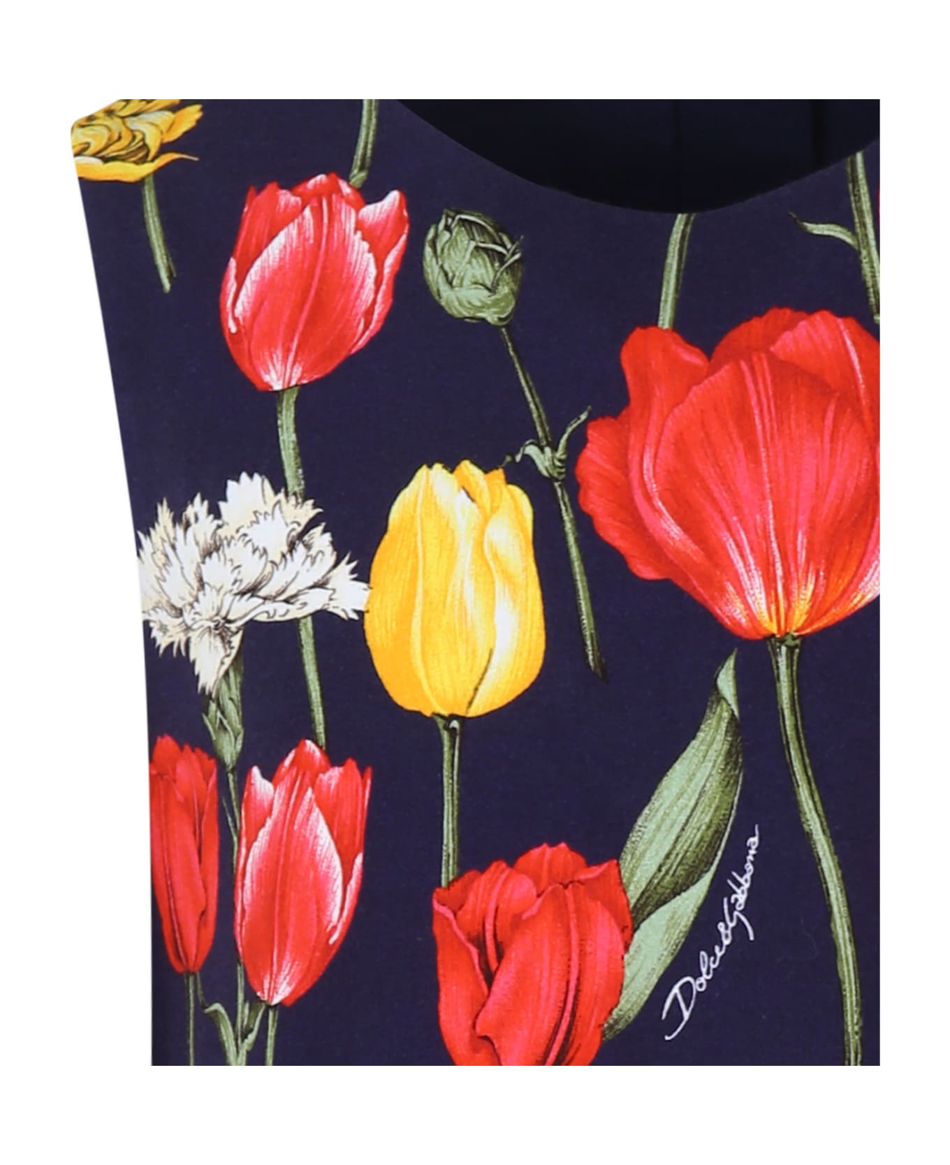Dolce & Gabbana Blue Dress For Girl With Tulip Print - Blue