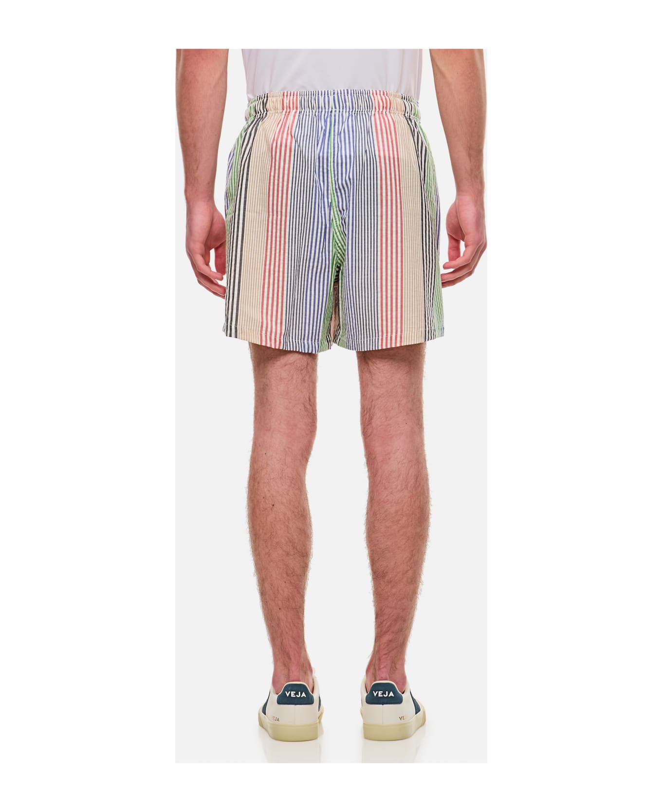 Howlin Cotton Seersucker Shorts - MultiColour