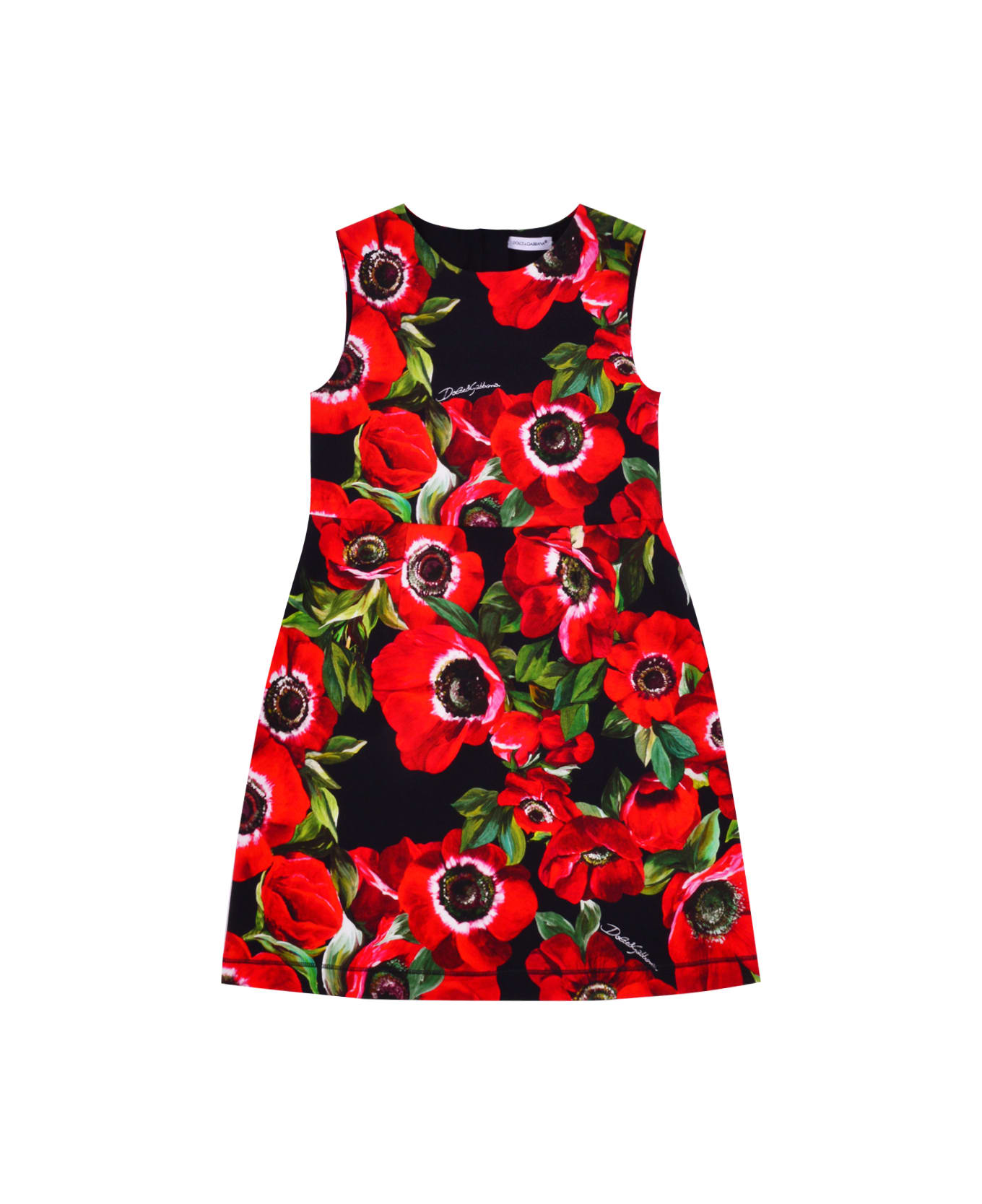 Dolce & Gabbana Flower Print Cotton Dress - Back