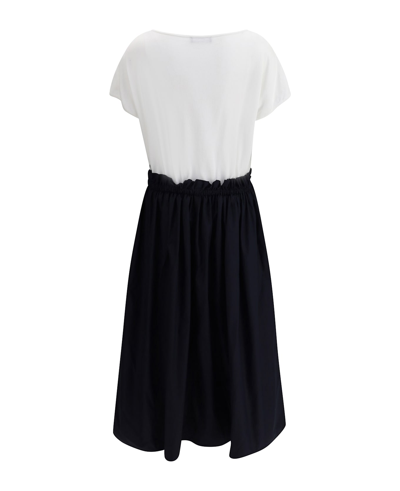 Fabiana Filippi Long Dress With Appliqué Skirt