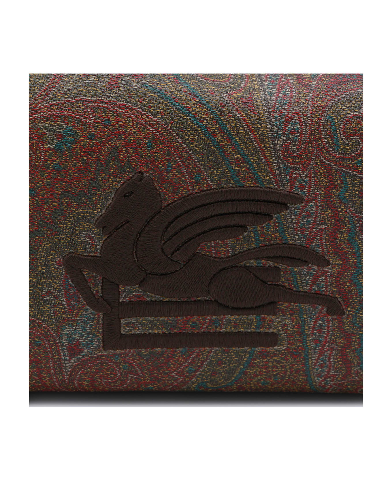 Etro Brown Pouche - ARNICA