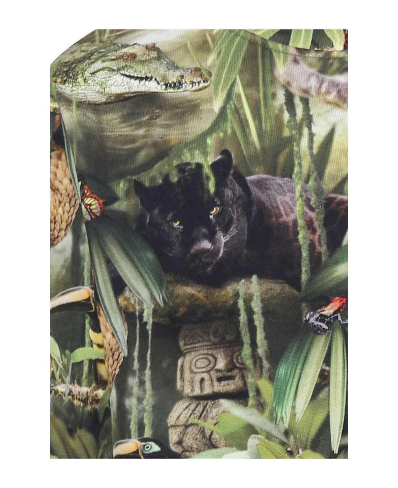 Molo Green Sweatshirt For Boy With Jungle Animal - Green