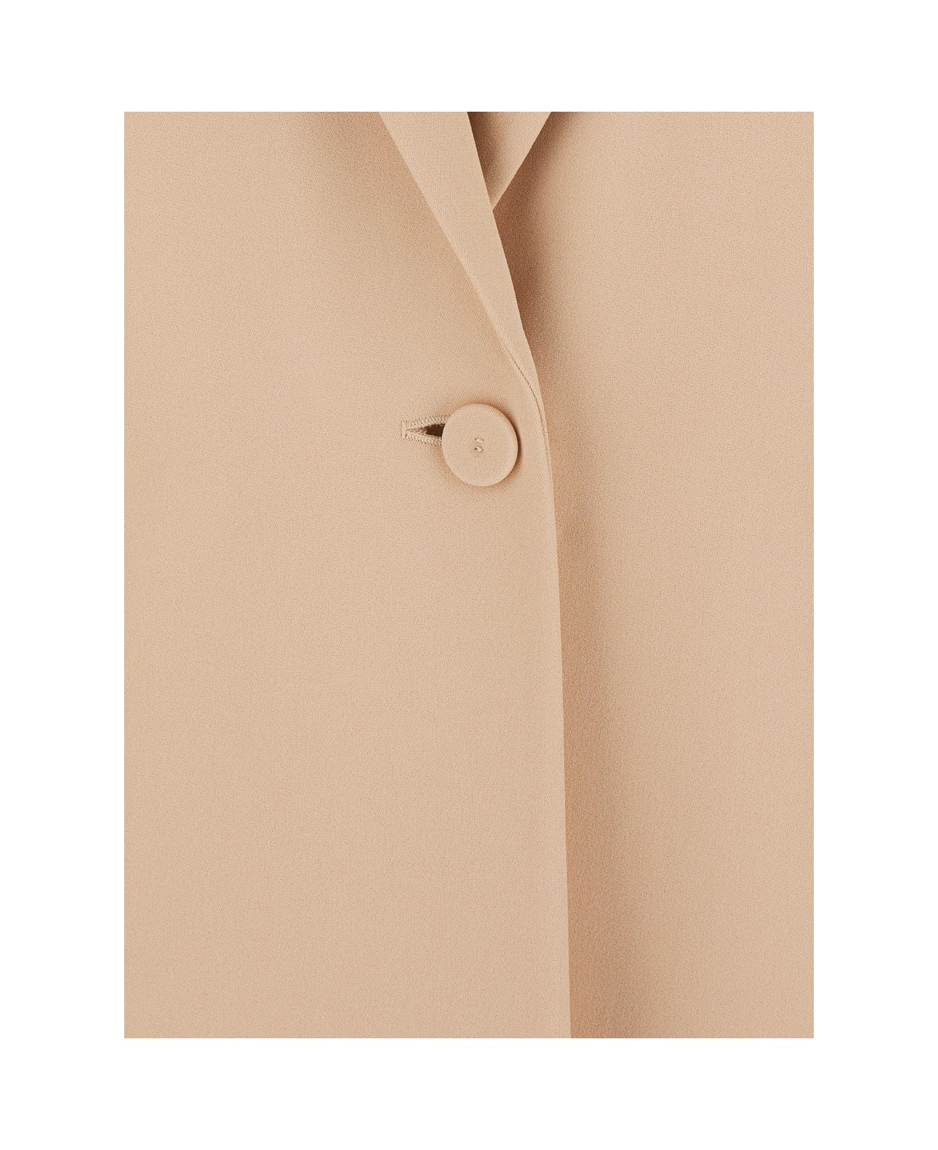 Alberta Ferretti Beige Single-breasted Jacket With Classic Lapels In Fabric Woman - Beige