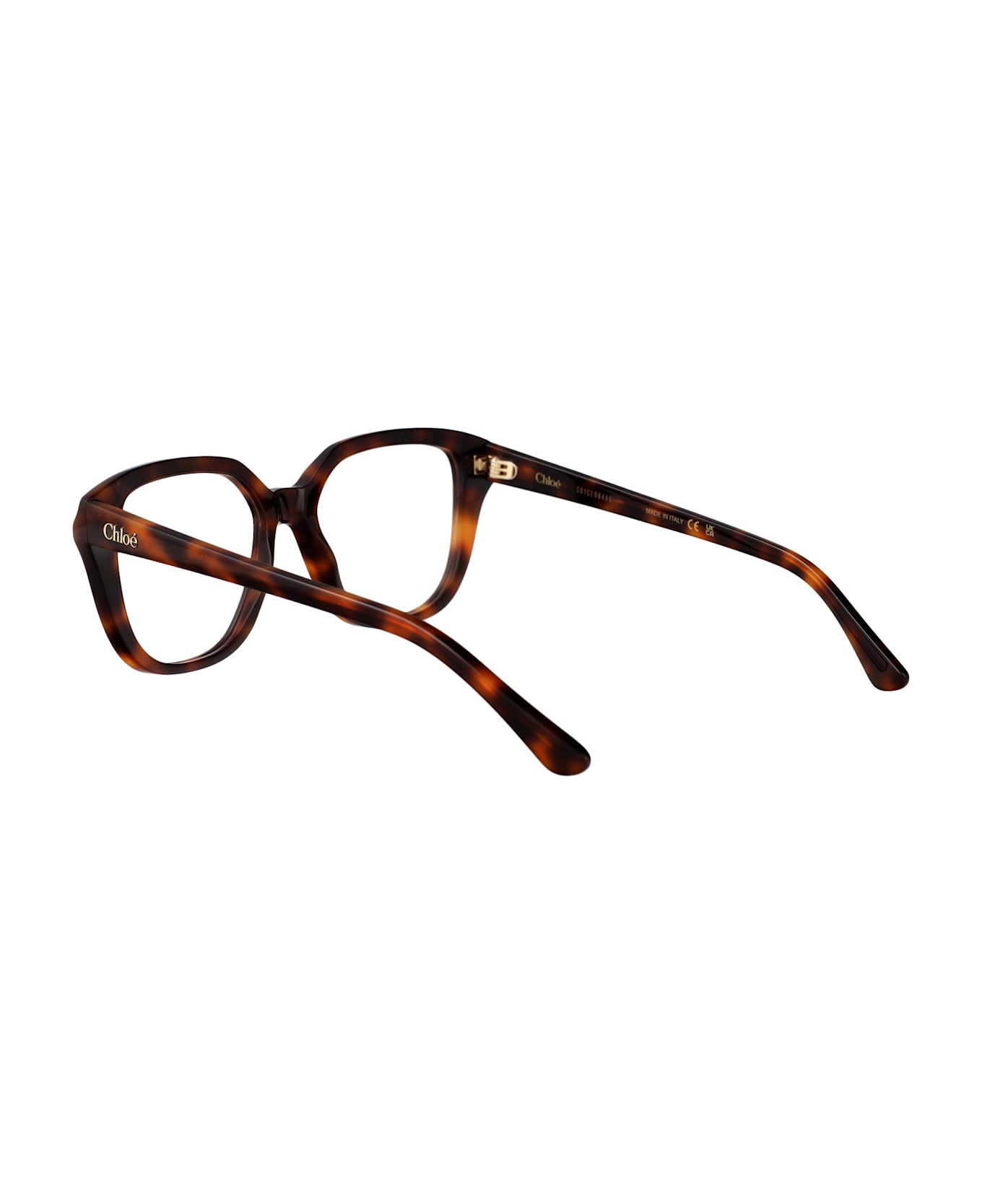 Chloé Eyewear Ch0293o Glasses - HAVANA-HAVANA-TRANSPARENT