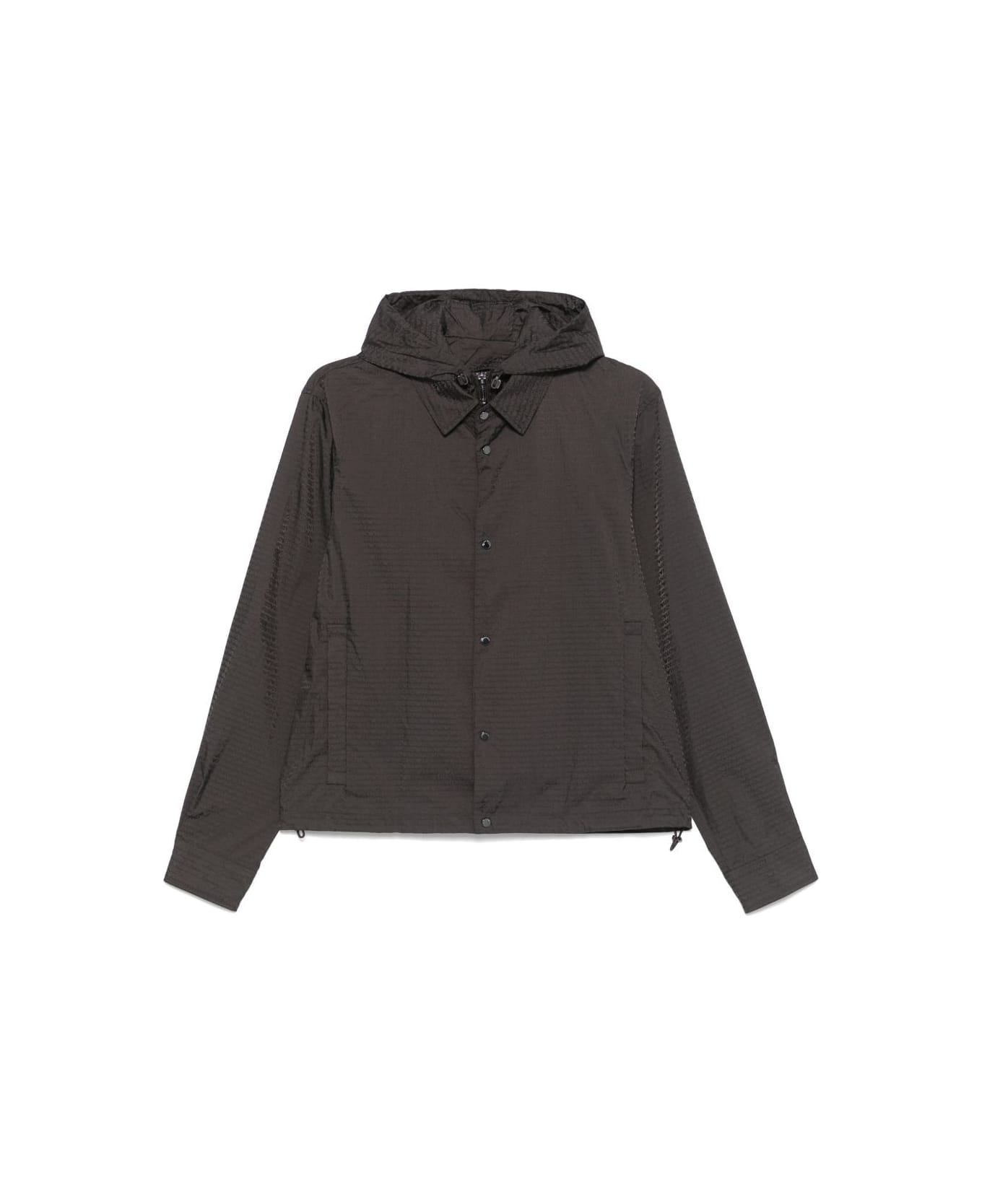 Emporio Armani Nylon Hooded Jacket - Marrone scuro