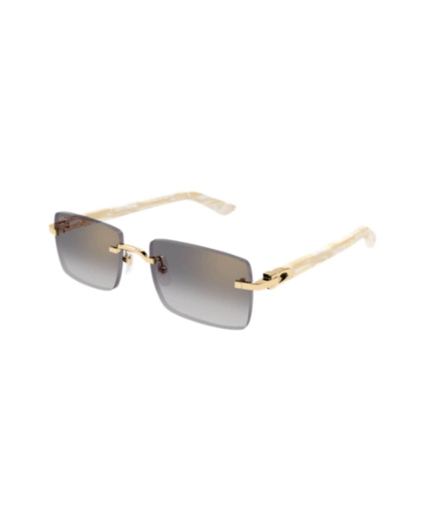 Cartier Eyewear Ct0579s007 Gold Ivory Grey - 007 gold ivory grey