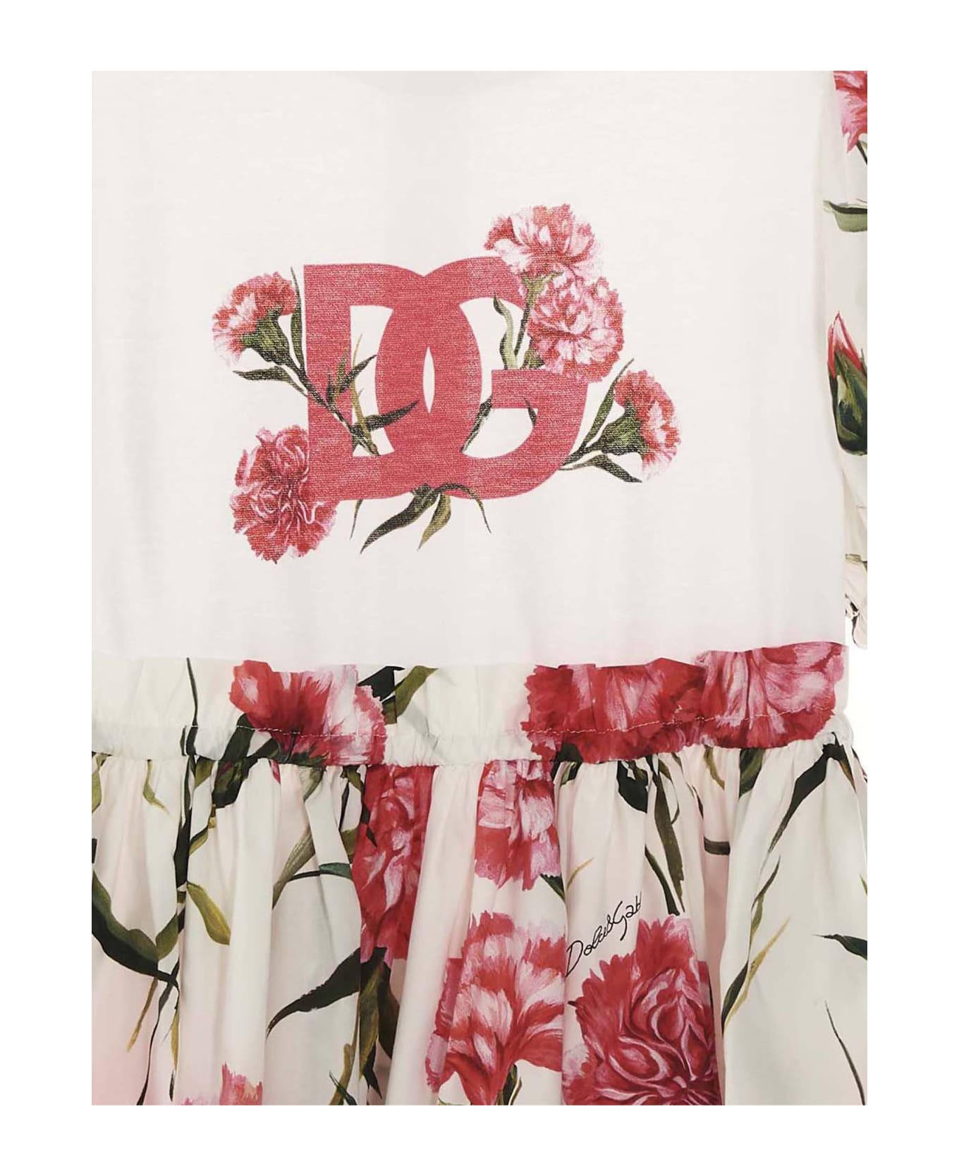 Dolce & Gabbana 'happy Garden' Dress - Multicolor