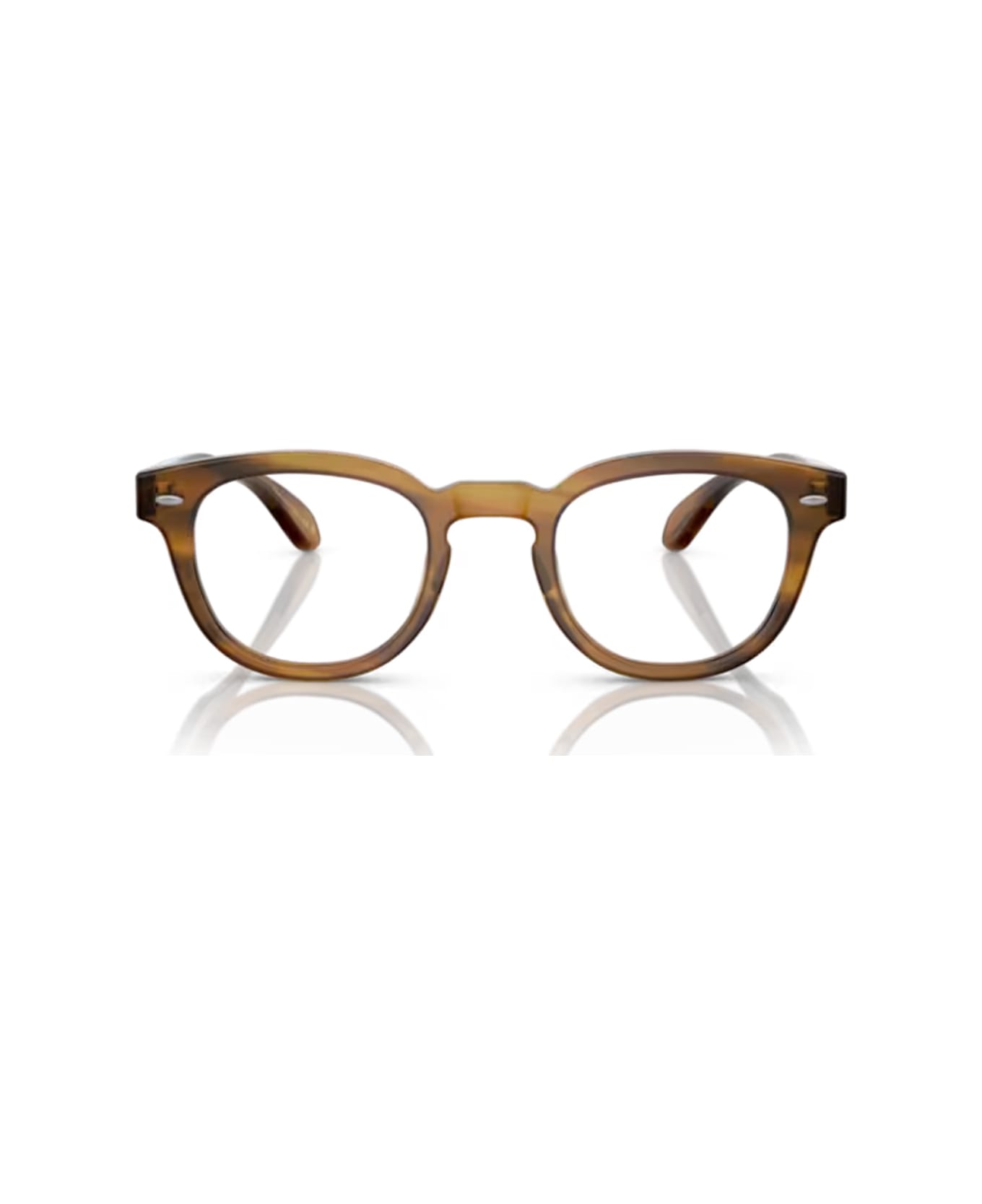 Oliver Peoples Ov5036 - Sheldrake 1579 Semi-matte Raintree Glasses - Marrone