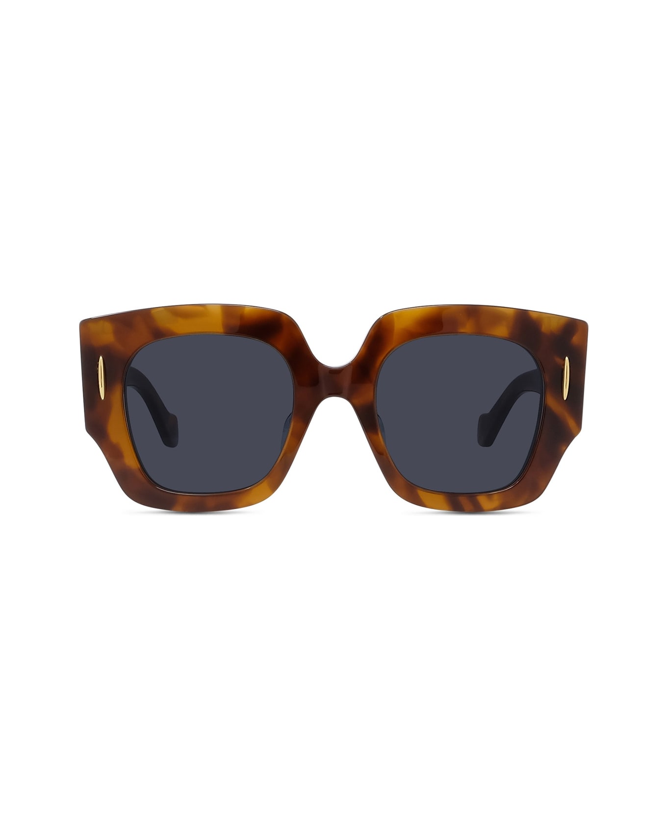 Loewe Lw40129u Anagram 53v Havana Sunglasses - Marrone