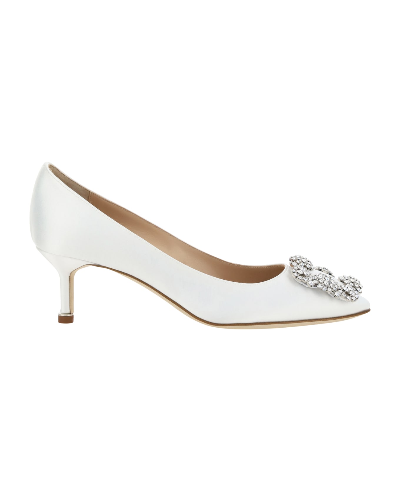 Manolo Blahnik Hangisi Pumps - Mcrm