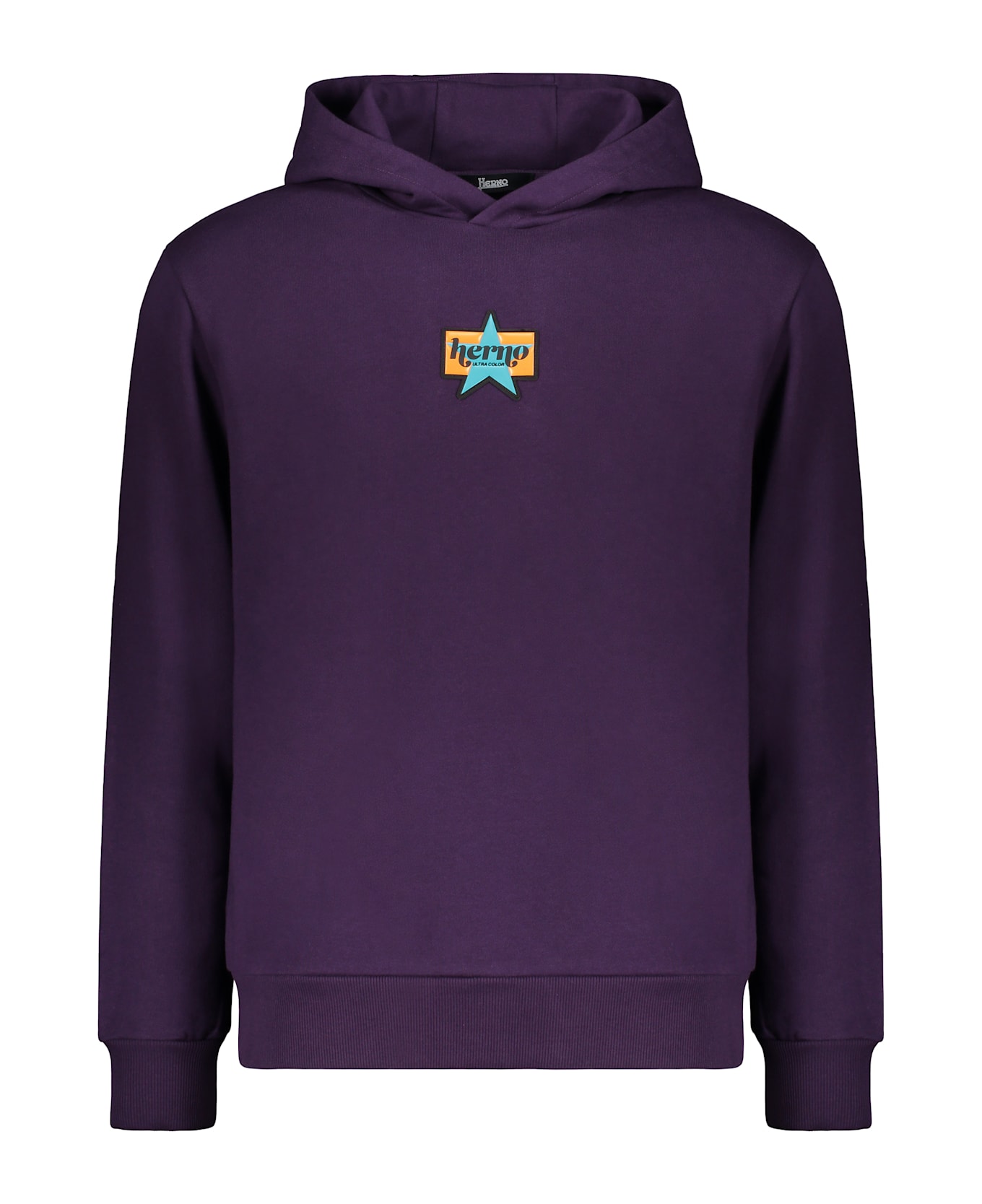 Herno Hooded Sweatshirt - purple