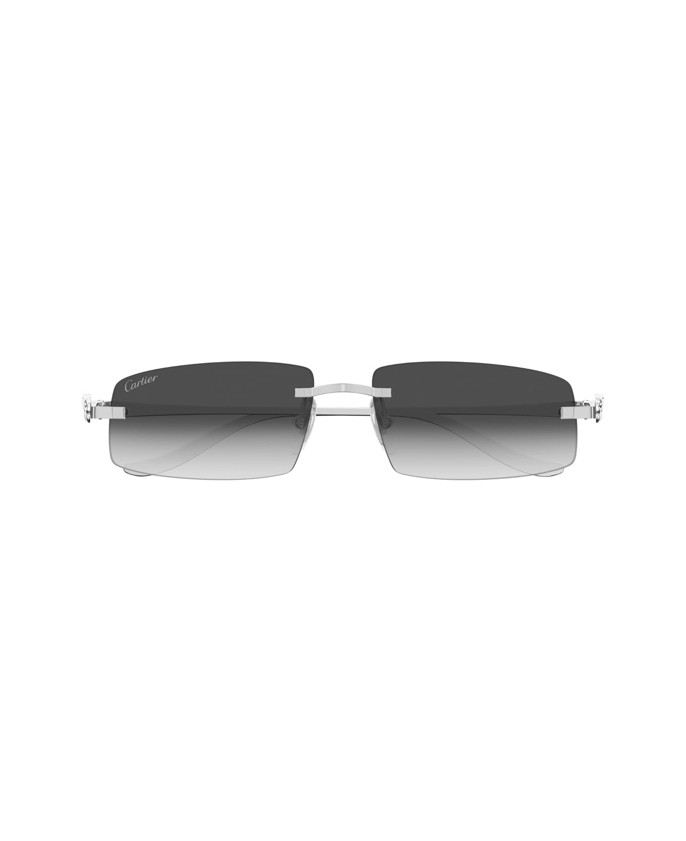 Cartier Eyewear Cartier Ct0505s Panthère De Cartier Sunglasses - Argento