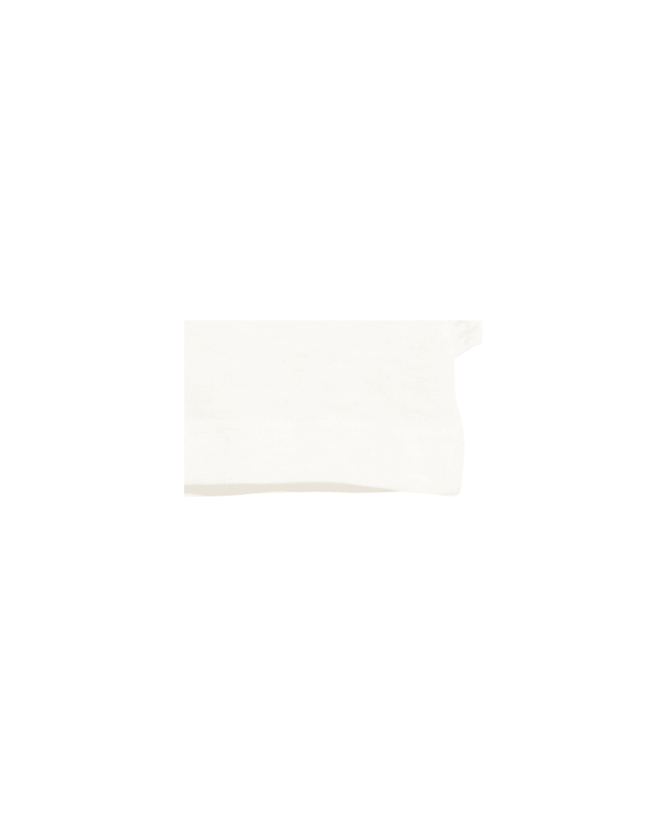 Il Gufo Canvas - WHITE