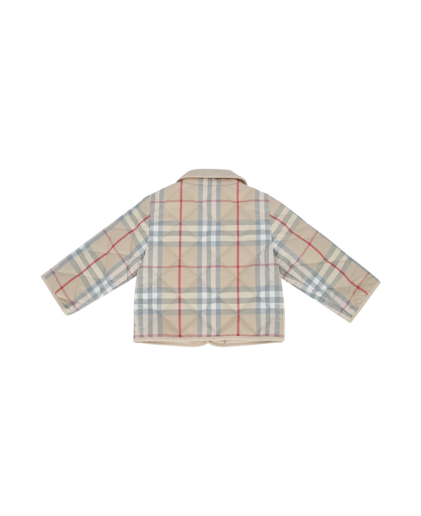 Burberry N6 Tommy Check - PALESTONEIPCHECK