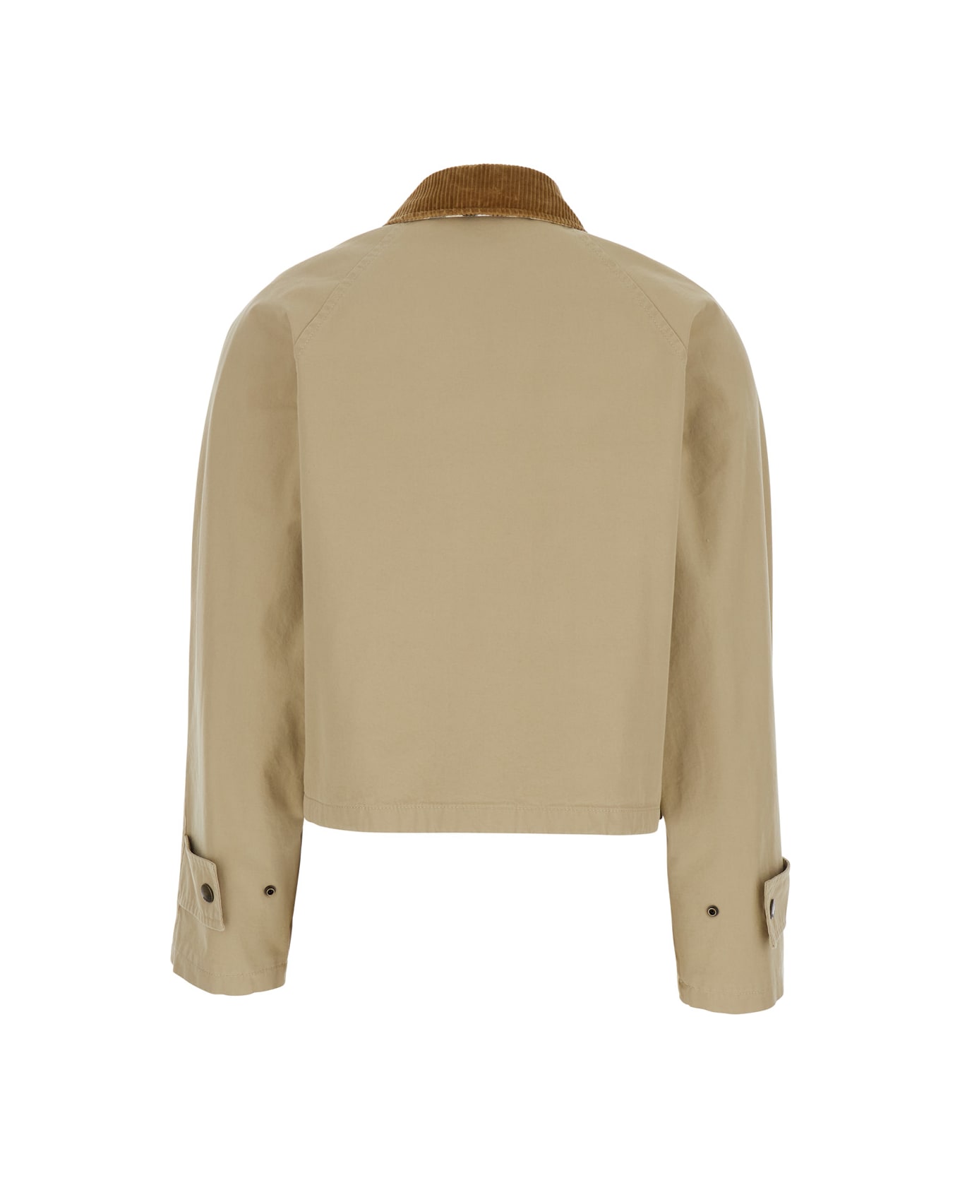Burberry Beige Cropped Jacket With Corduroy Collar In Cotton Woman - Beige