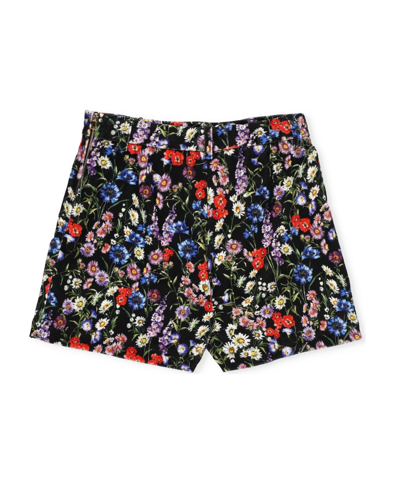 Dolce & Gabbana Velvet Shorts - MultiColour