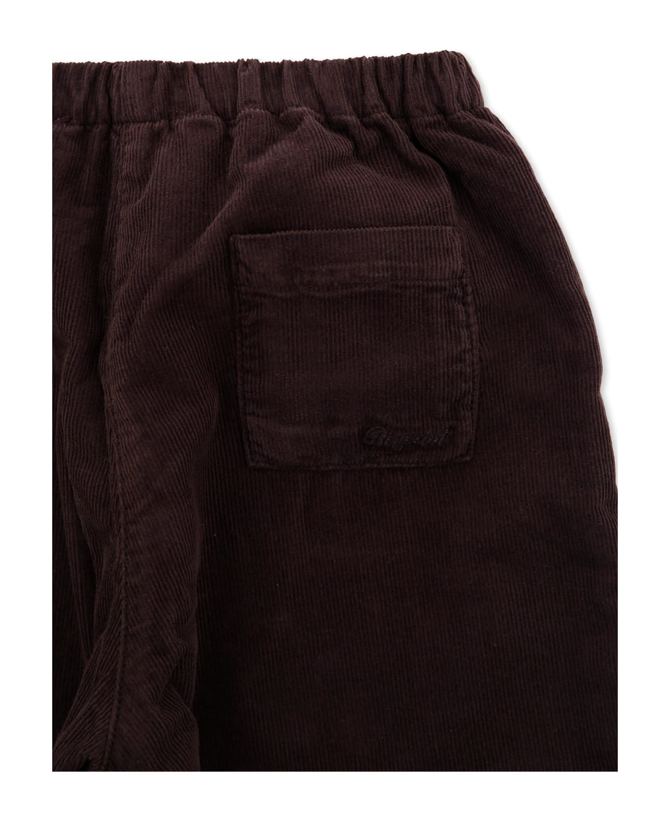 Bonpoint Brown Trousers For Baby Boy With Logo - Brown