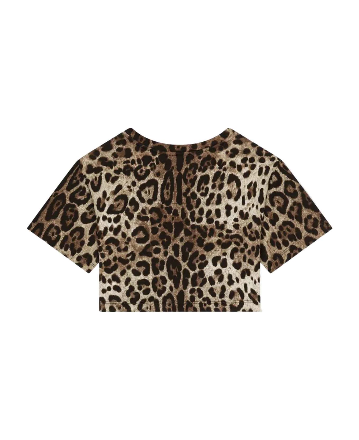 Dolce & Gabbana Brown T-shirt Girl - Leopardato