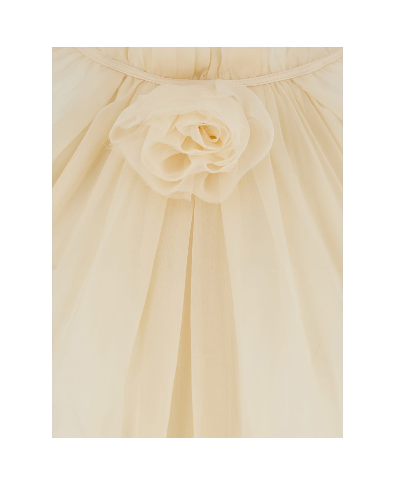 Alberta Ferretti Beige Blouse With Ruffles And Floral Detail On The Front In Silk Woman - Beige