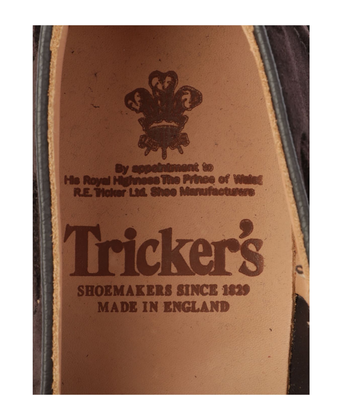 Tricker
s Elton Coffee Castorino - Coffee Castorino