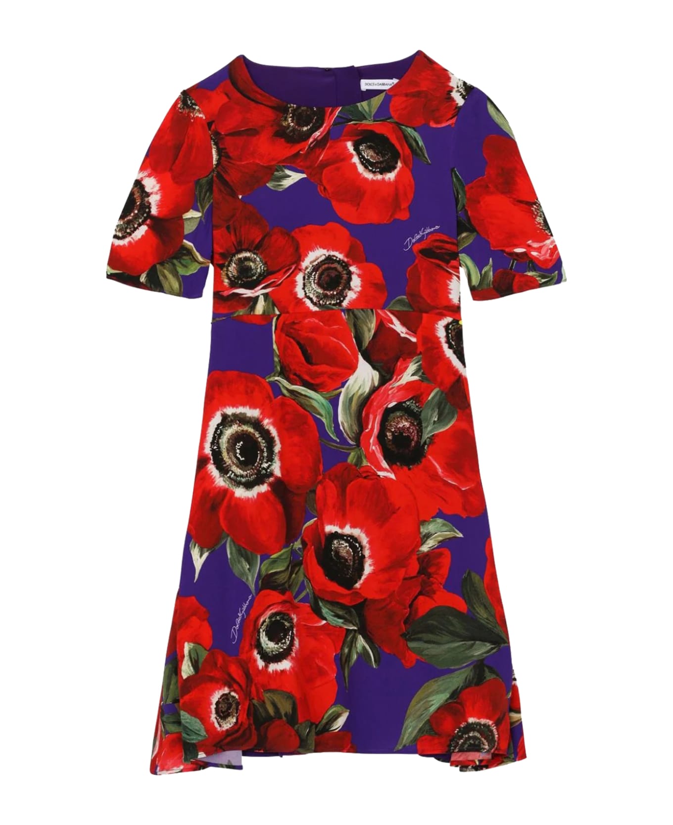 Dolce & Gabbana Anemone Midi Dress With Print - Multicolor ワンピース＆ドレス