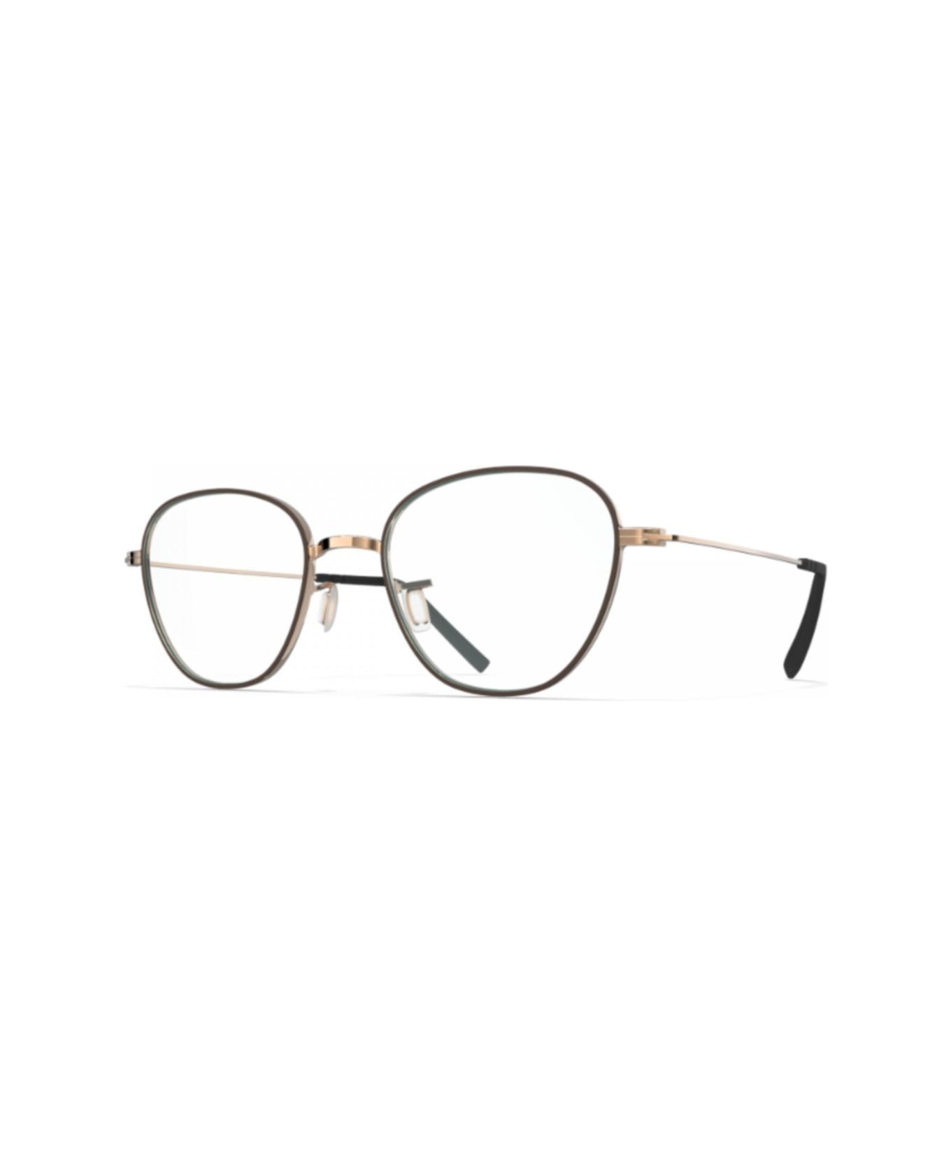 Blackfin Bf1034 Catalina1640 Amber Gold Nut Dark - 1640 amber gold nut dark