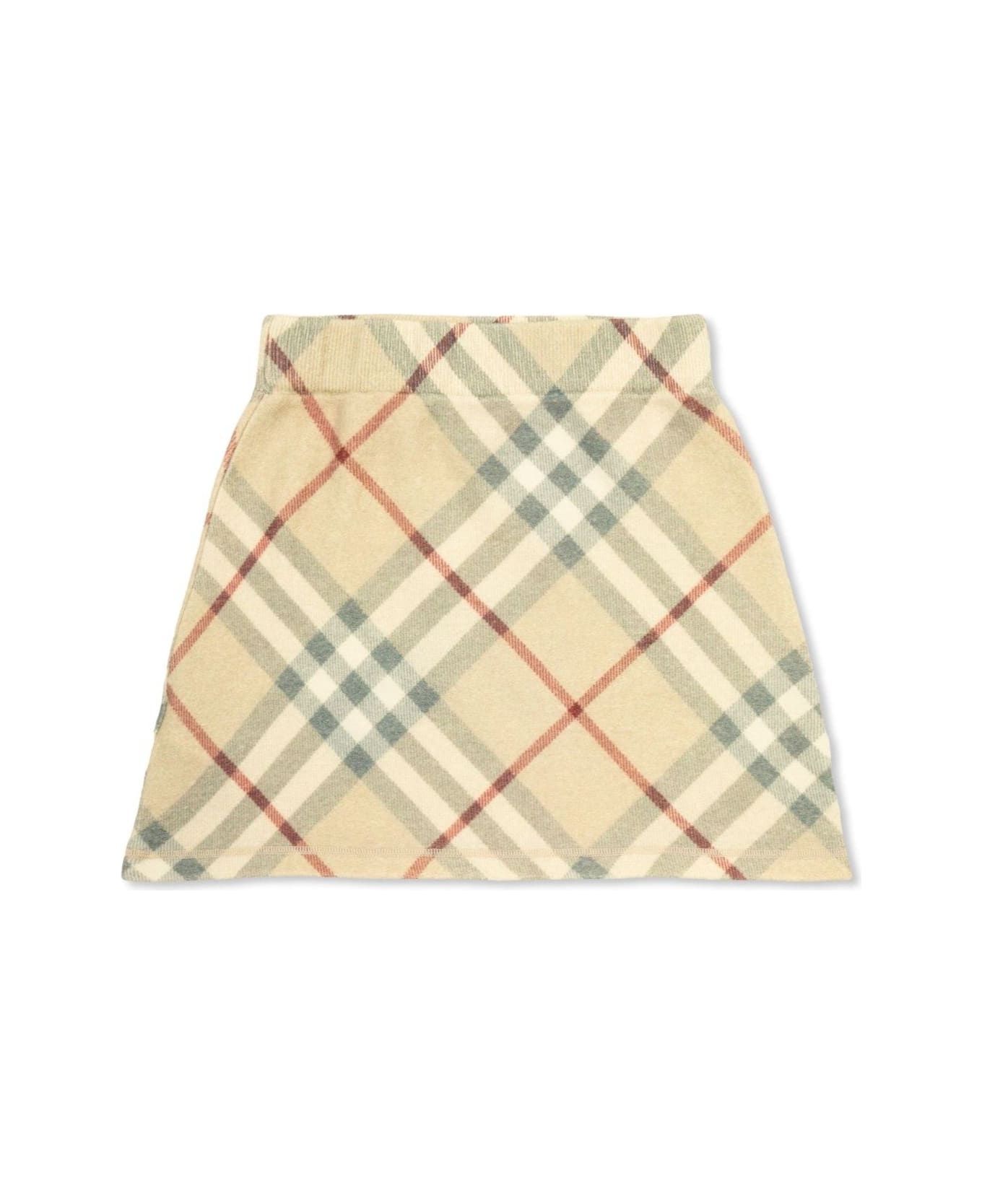 Burberry Checked A-line Skirt - NEUTRALS