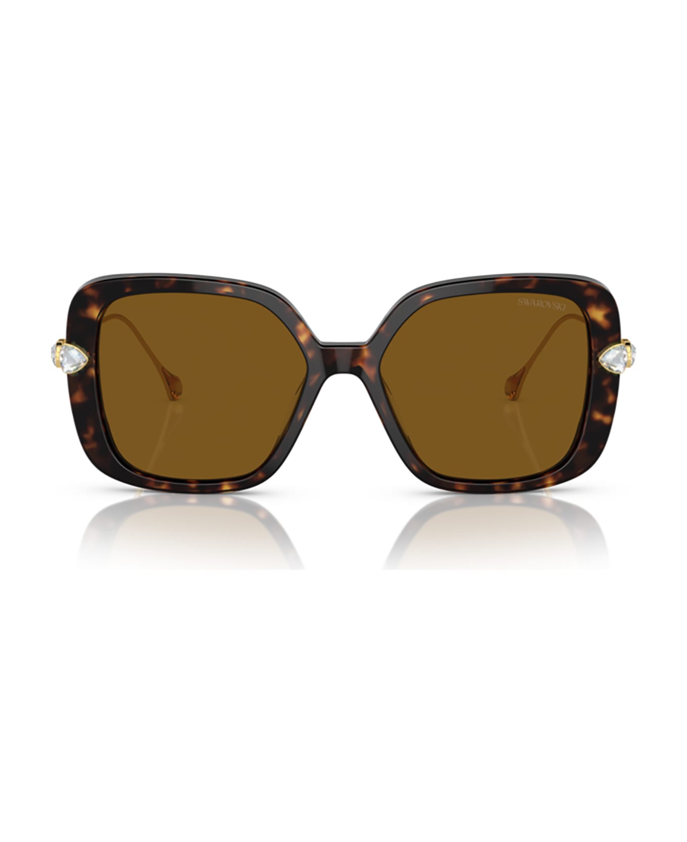 Swarovski Sk6011 Havana Sunglasses - Havana サングラス