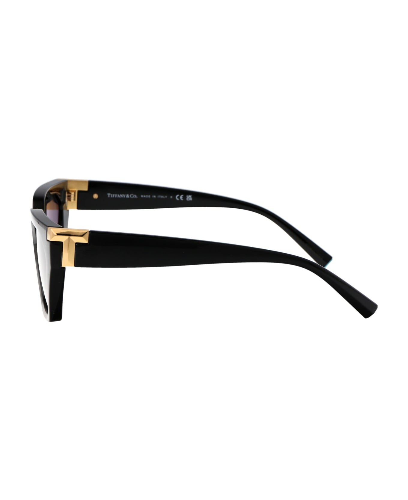 Tiffany & Co. 0tf4205u Sunglasses - 8001S4 Black