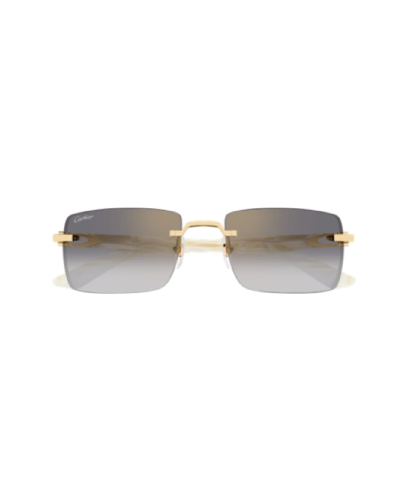 Cartier Eyewear Ct0579s007 Gold Ivory Grey - 007 gold ivory grey