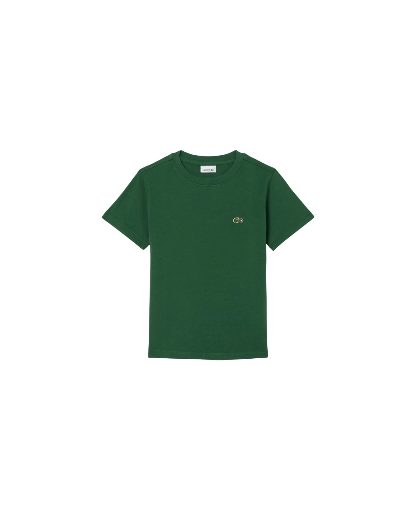 Lacoste T-shirt - GREEN